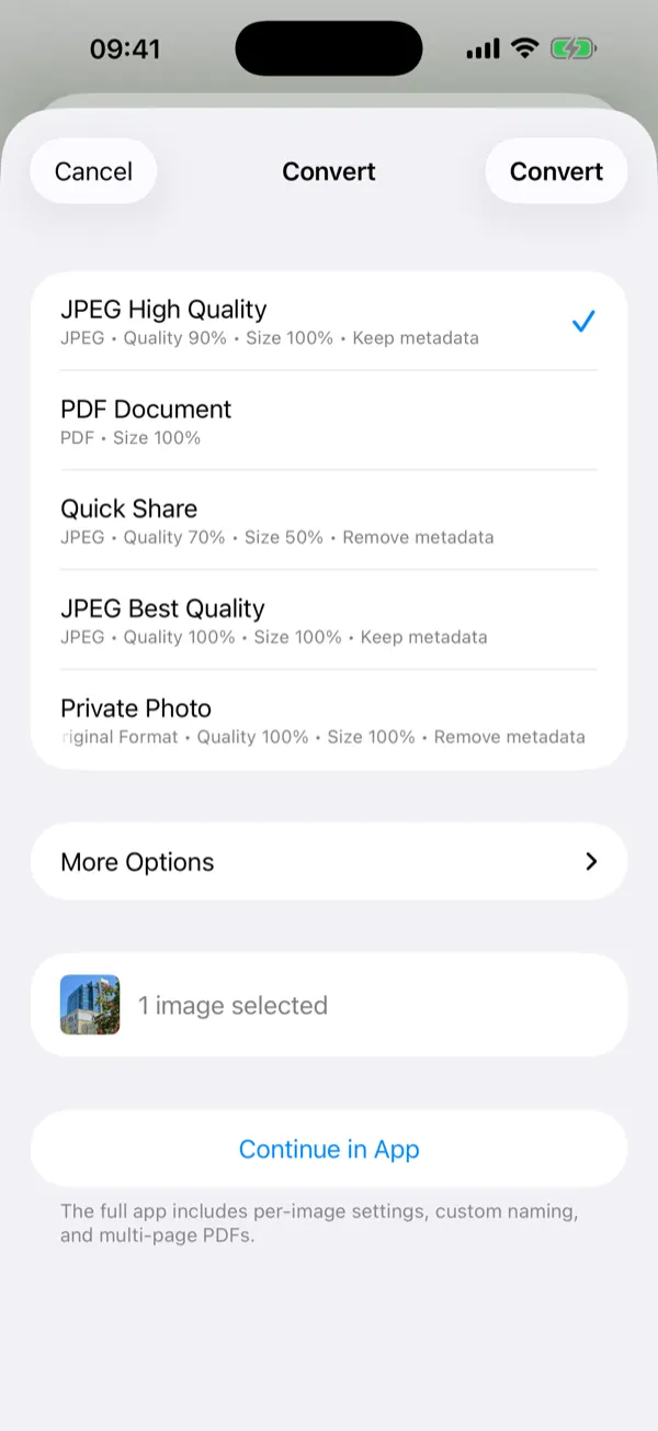 Share Extension lapas su konvertavimo išankstiniais nustatymais vienu palietimu