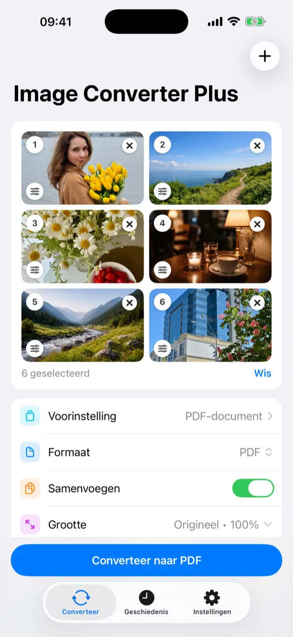 Geschiedenisscherm met geconverteerde afbeeldingen, groottes en details